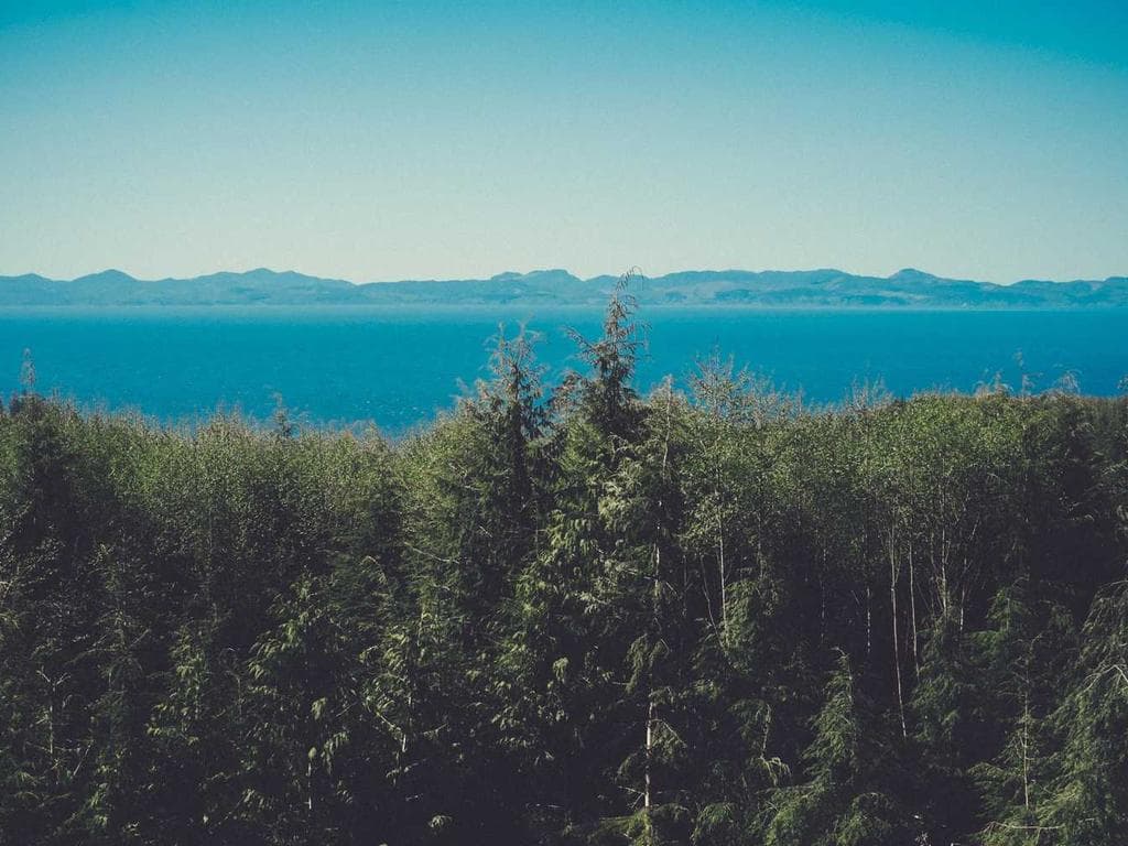 Unlocking Reddit Marketing: A Guide to Growing Your Audience